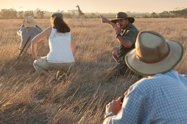 Les avantages d'un safari afrique : paysages, faune et culture